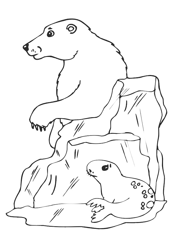 Plansa de colorat cu Foca 26 19